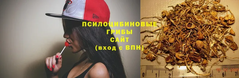 Галлюциногенные грибы Psilocybe Нижний Тагил